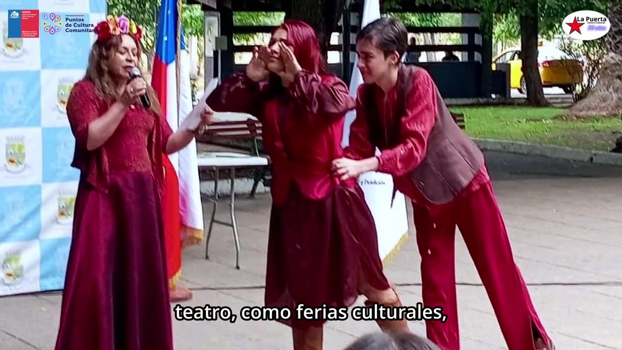 Diagnóstico Red de Artistas de Quinta de Tilcoco